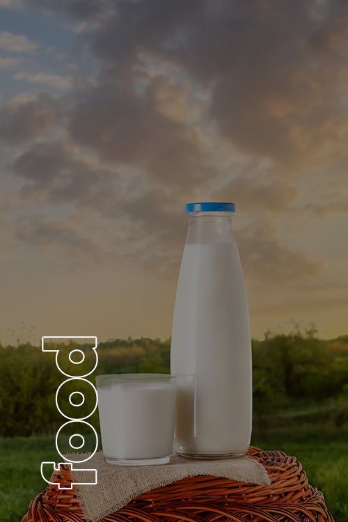 Food Industry